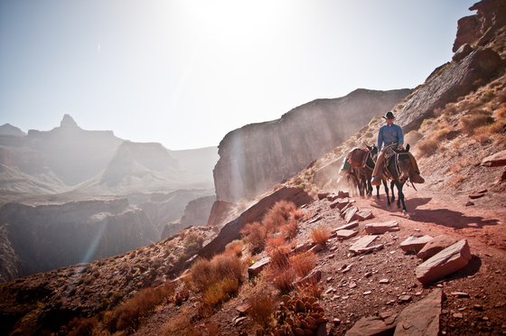 Grand Canyon National Park
