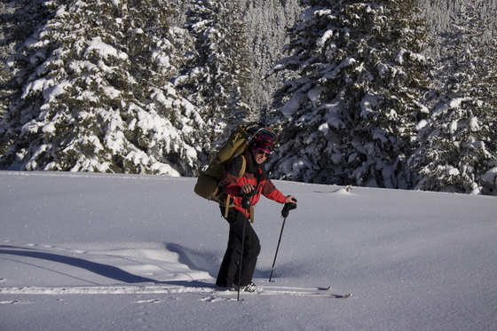 White River National Forest 