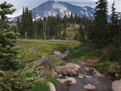 Mt. Adams Wilderness Area