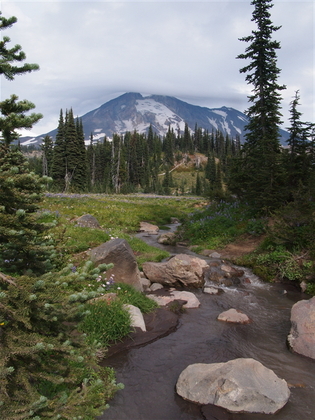 Mt. Adams Wilderness Area