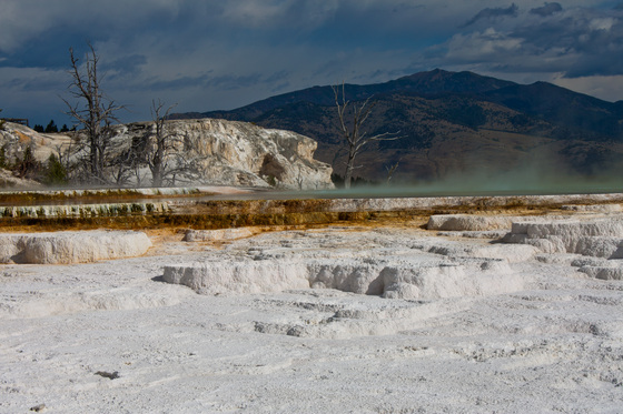 Yellowstone National Park