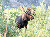 Grand Teton National Park