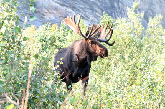 Grand Teton National Park