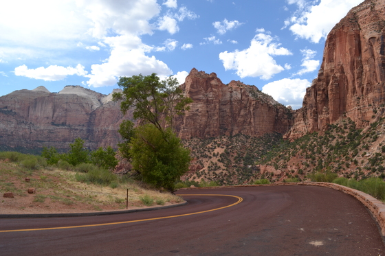Zion National Park