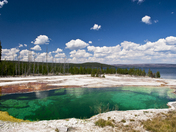 Yellowstone National Park