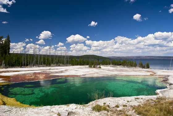 Yellowstone National Park