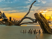 Cape Romain National Park