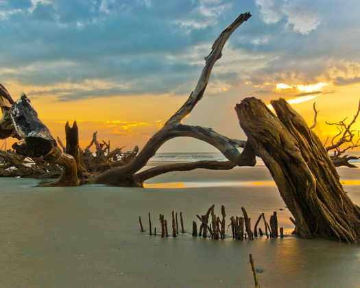 Cape Romain National Park