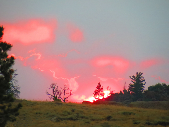 Medicine Bow-Routt National Forest