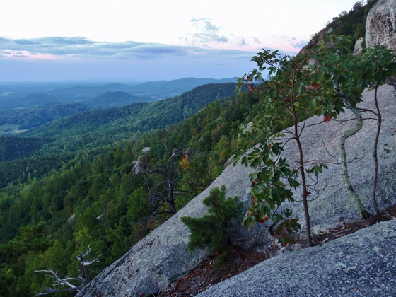Shenandoah National Park