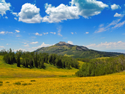 Manti-La Sal National Forest