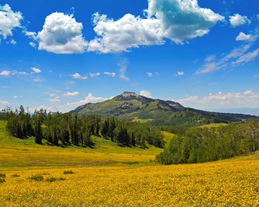 Manti-La Sal National Forest