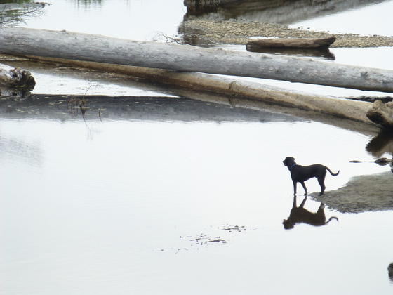 Olympic National Park