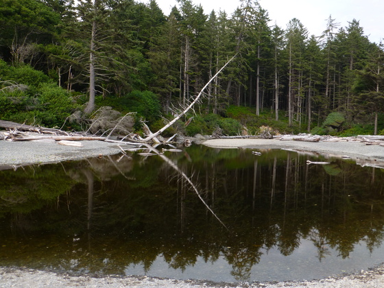 Olympic National Park
