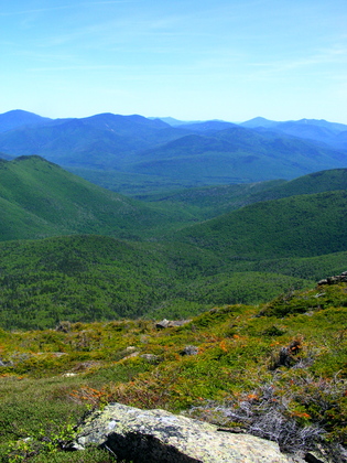 White Mountain National Forest 