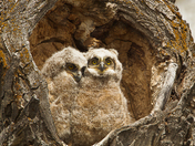Grand Teton National Park