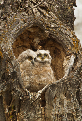 Grand Teton National Park