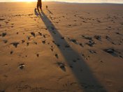 Enderts Beach Redwood National Park