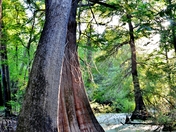White River National Wildlife Refuge