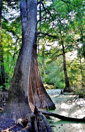 White River National Wildlife Refuge