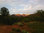 Coconino National Forest