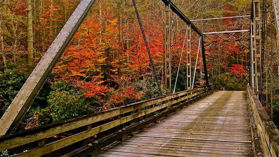 Smokey mtn National Park