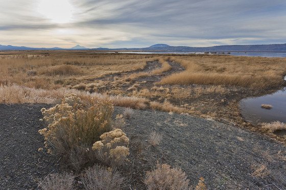 Lower Klamath Lakes National Wildlife Refuge