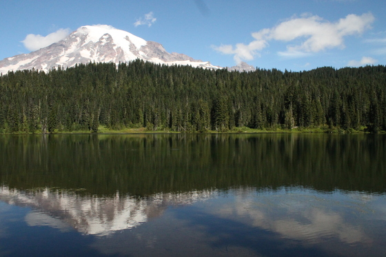 Mt. Rainier National Park