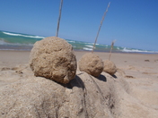 Indiana Dunes National Lake Shore