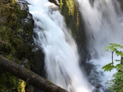 Olympic National Park