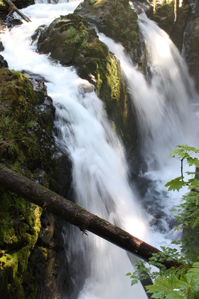 Olympic National Park