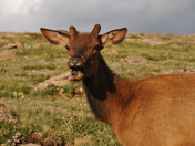 Rocky Mountain National Park