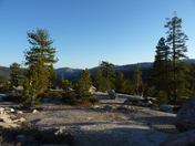 Yosemite National Park