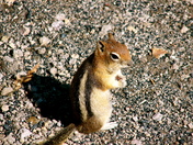Grand Teton National Park
