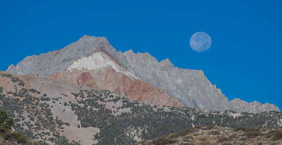 Inyo National Forest