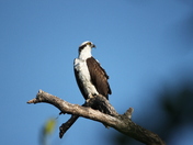 Everglades National Park