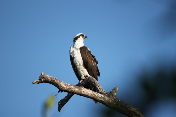 Everglades National Park