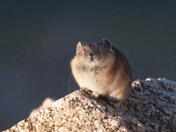 Mount Evans, Colorado