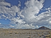 The Petrified Forest
