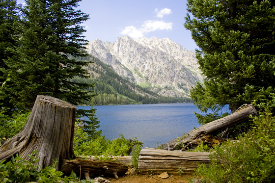 Grand Tetons