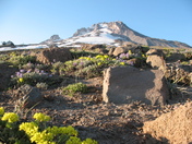 Mount Hood National Forest