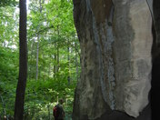 Wayne National Forest