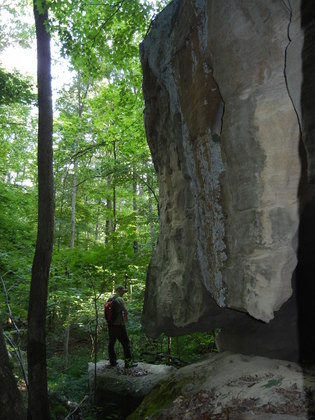 Wayne National Forest