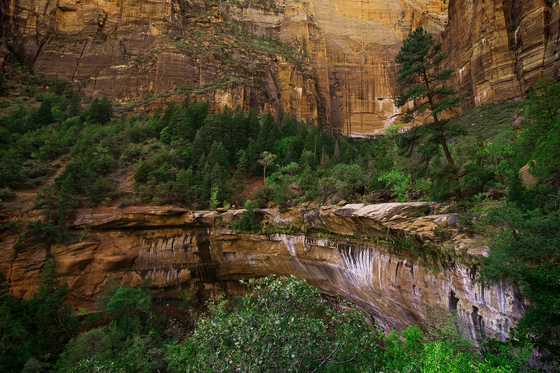 Zion national Park