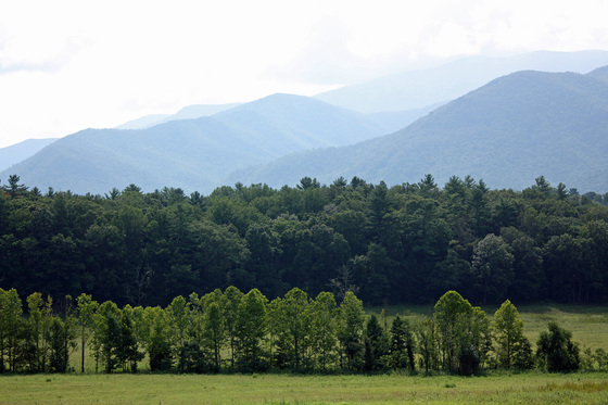 Cades Cove