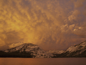 Yosemite National Park