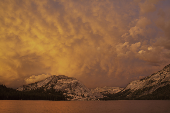 Yosemite National Park