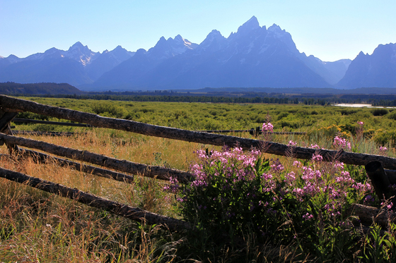 Grand Teton National Park