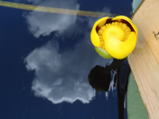 Superior National Forest