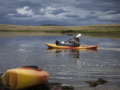  Apache Sitgreaves National Forest